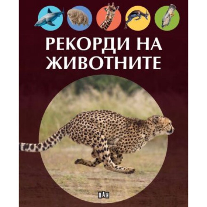 Рекорди на животните - Колектив