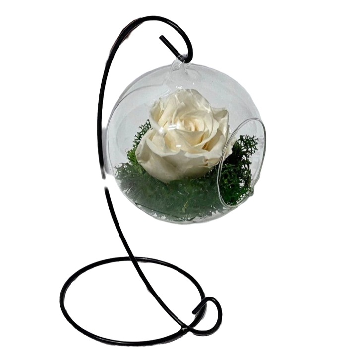 Trandafir Criogenat, in Glob de Sticla Suspendat, 12cm, Crem, Kdeco