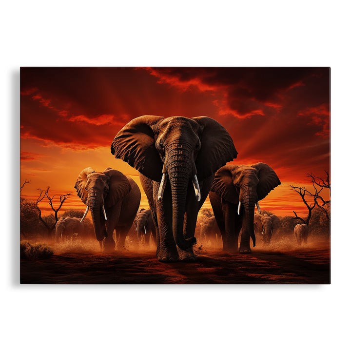 Tablou Canvas, Safari, Familie Elefanti, 70x100 cm