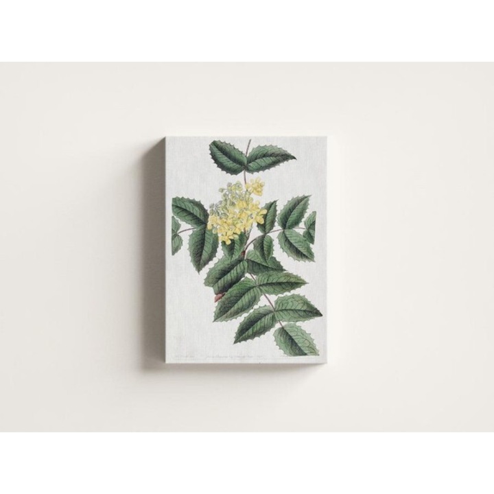 Картина на платно - Лист с цвете - 60x40 см