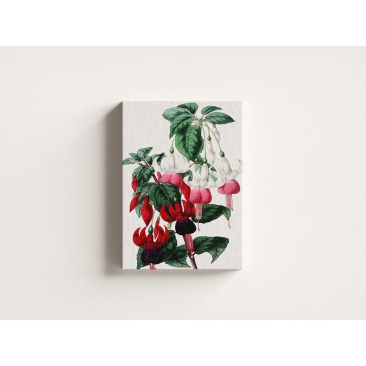 Картина на платно - Червени и бели цветя - 60x40 см