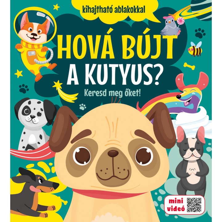 Hová bújt a kutyus
