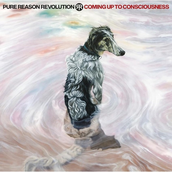Pure Reason Revolution - Coming Up To Consciousness (Blue Vinyl)