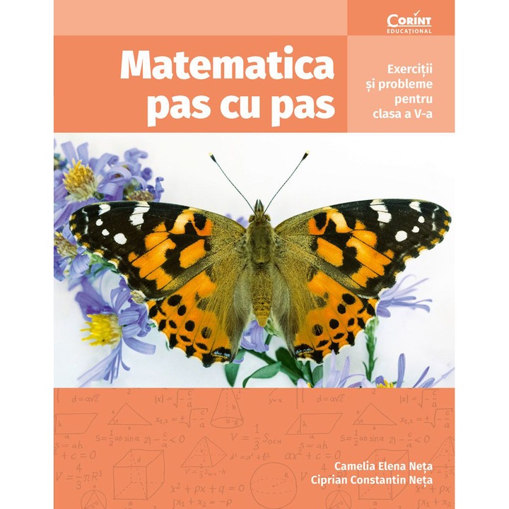 Matematica pas cu pas cls. a V-a. Exercitii si probleme, Camelia Elena Neta, Ciprian Constantin Neta