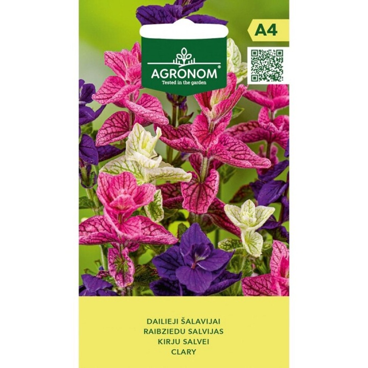 Seminte, Salvie decorativa, Agronom, plic, 0.4 grame