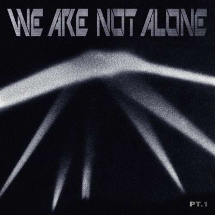 V/A - We Are Not Alone Pt.1 (2LP)