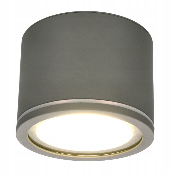 Плафон LOFTHOME, IP54, сив, 90 mm диаметър, без включена крушка