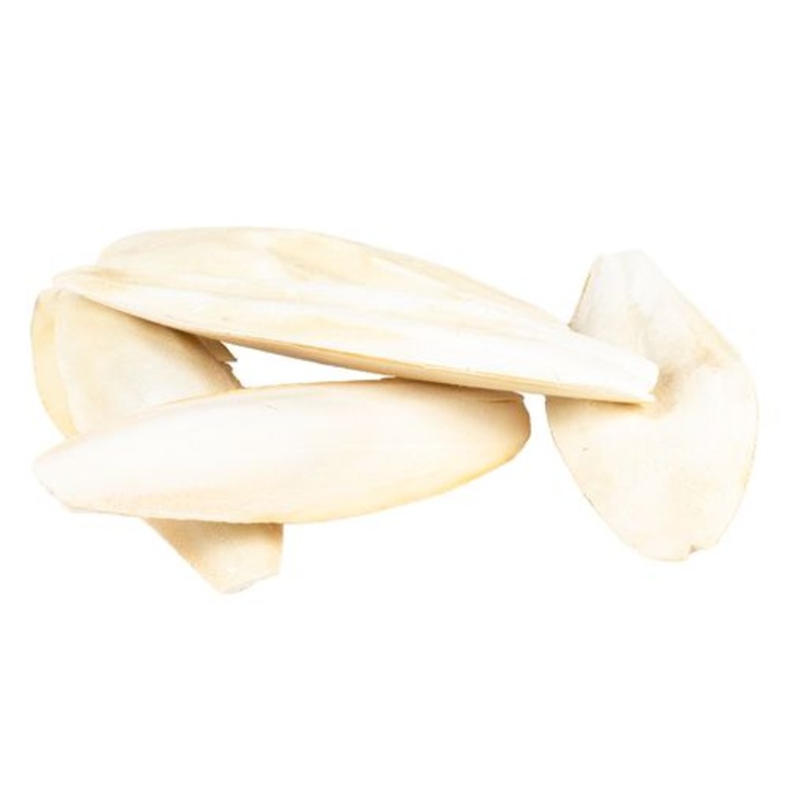Oase de sepie pentru pasari DUVO+, Original, 15-28cm, 5kg