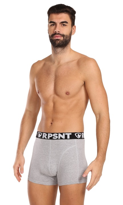 Boxeri barbati, Represent, sport, gri, material elastic