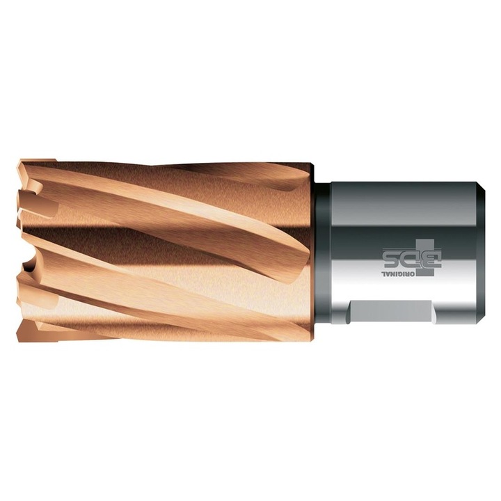 Carota carbura HSS scurta BDS Carbide-Plus, prindere Weldon 3/4" (19mm), 50x30mm