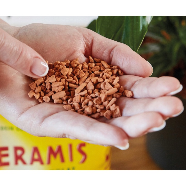 Substrat special granulat Seramis, din granule ceramice expandate de argila rosie pentru plante de interior la sac de 2,5l, pentru Anthurium, Crassula, Pothos s.a
