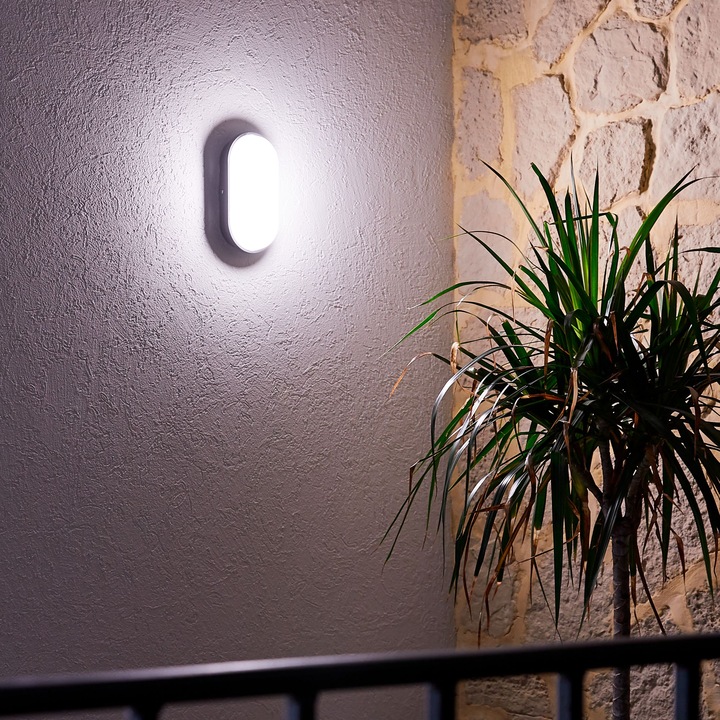 Aplica LED exterior Ezy, 10 W, 1620 lm, lumina neutra, IP65, negru, rotund