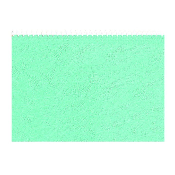 Planificator Saptamanal, Nedatat, A4, Turcoaz deschis, 54 de file legate cu spirala si coperta de carton imitatie de piele