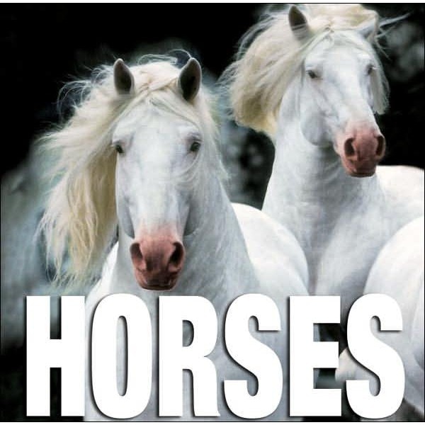 Horses Cubebook - De Fabianis, Valeria Manferto