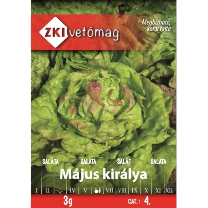 Seminte de salata majus kiralya ZKI, 3gr