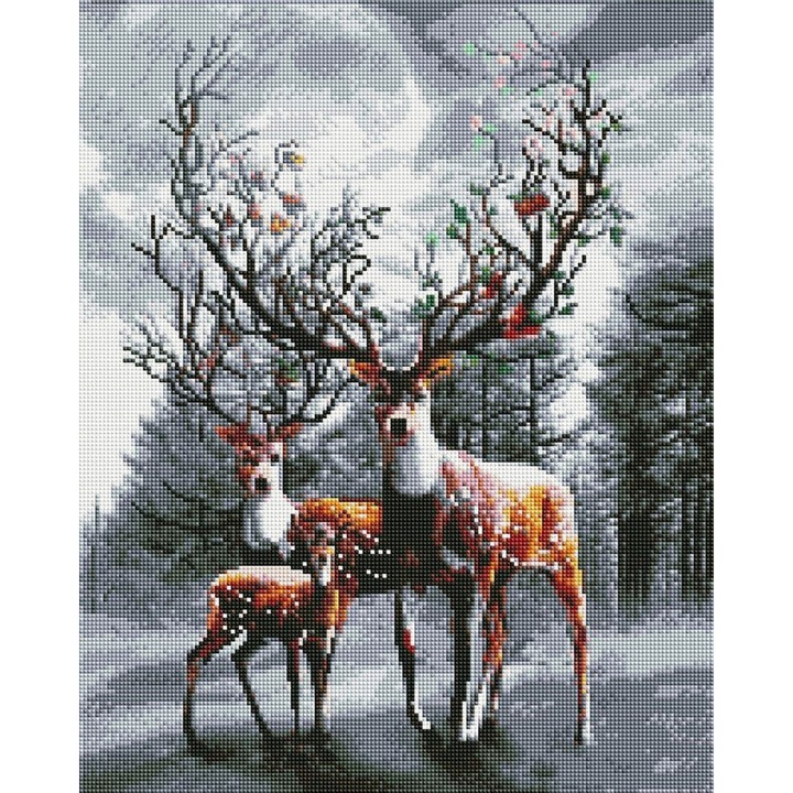 Set goblen cu diamante, cu sasiu, Inima naturii, 40x50 cm