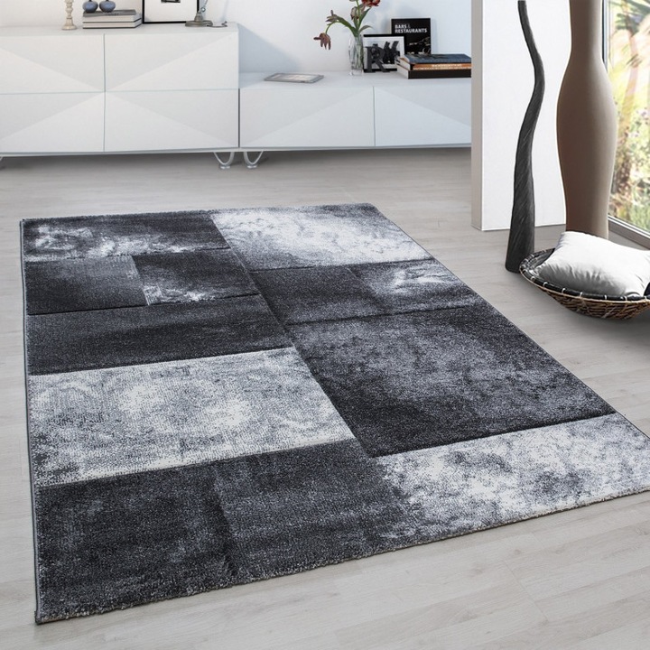 Covor, Model Zion V2, Gri, 120x170 cm