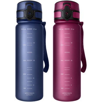 Set 2 sticle filtrante Aquaphor 500ml, albastru inchis si visiniu