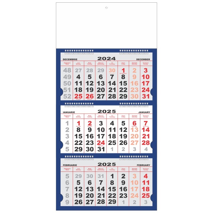 Calendare de perete Triptice Premium, 12 file, 25buc/set, albastru, cu cap alb, 2026