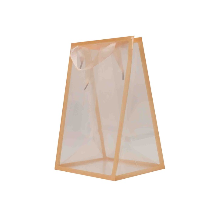 Set 10 pungi transparente, chenar somon, 20X15X30 cm, B.S.P. / SL364_2