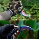 Комплект тренировъчен нож Karambit от неръждаема стомана с кания, 19x3.5cm, пластмаса, 118g