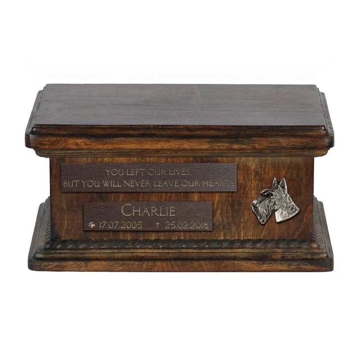 Urna de crematie pentru animale, Remember Forever, din lemn de mesteacan, noua, goala, 29cm