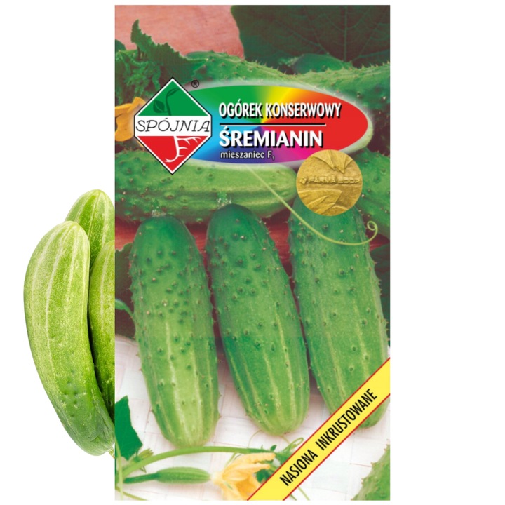 Seminte castravete, Spojnia, 2g