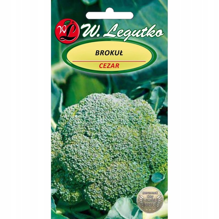 Seminte de gradina, Seminte brocoli Cezar, Legutko, 2g, calitate superioara, seminte premium, seminte de top