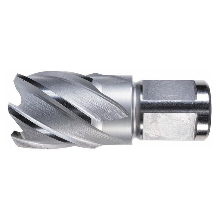 Carota HSS ALFRA, prindere Weldon 3/4" (19mm), 20x30mm