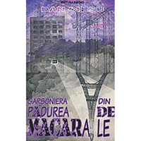 garsoniera din padurea de macarale - dan chisu imagen 4_0_
0