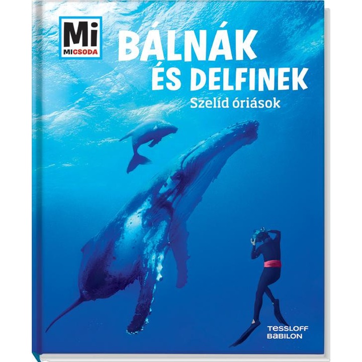Martin Kaluza: Bálnák és delfinek