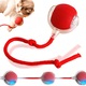 Product option