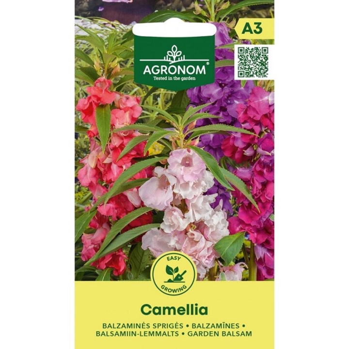 Seminte, Impatiens Camellia, Agronom, plic, 0.5 grame