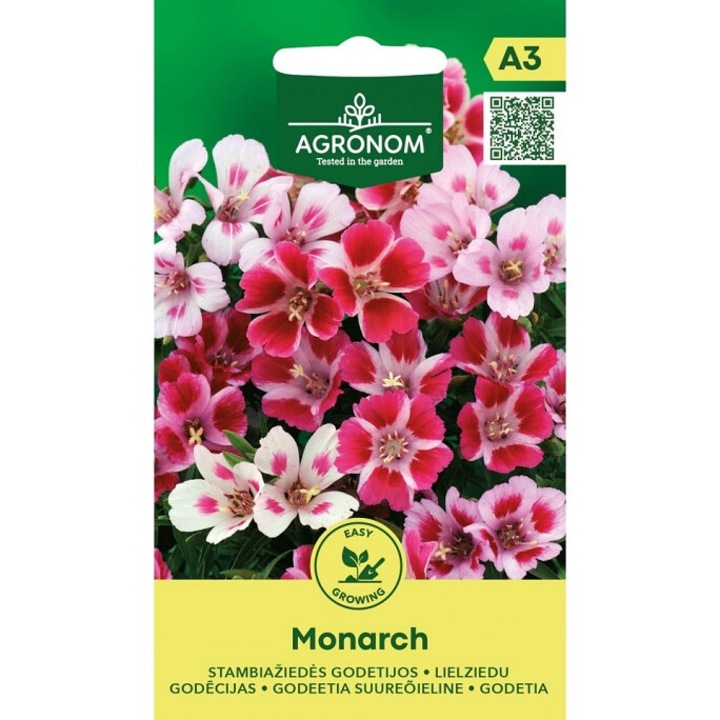 Seminte, Azalee de gradina Monarch, Agronom, plic, 0.3 grame