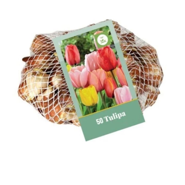Pachet mixt Lalele 50 Bulbi (28Soiuri)