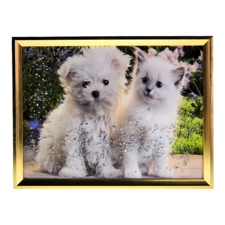 Tablou din plastic cu rama din MDF cu animale. 43x33 cm M2