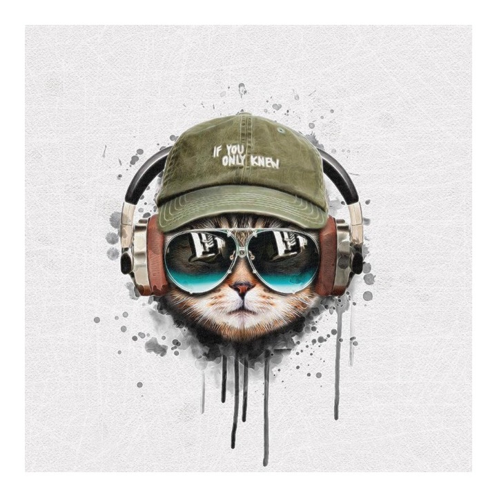 Material textil, Panou din tricot french terry 40x50 cm Pisica Hipster, bumbac 95%, elastan 5%