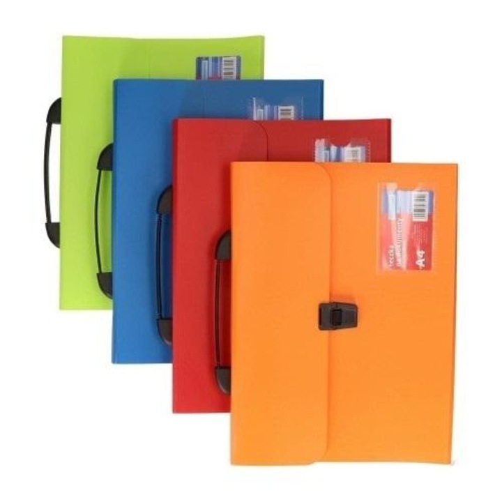 Set 4 mape A4 cu 12 compartimente, Schemat, polipropilena, 337x268mm, multicolor