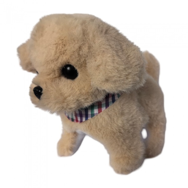 Jucarie de plus, Askato, 3 ani+