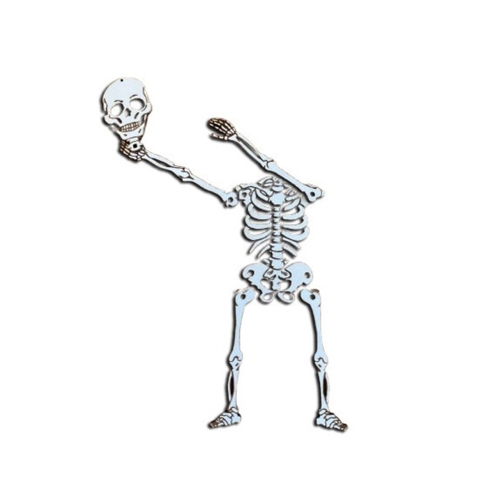 Halloween dekoráció emberi csontváz, levehető fej és végtagok, fehér fa, 50 cm