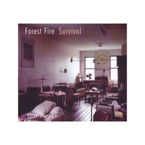 Vinyl-uri si cd-uri muzica