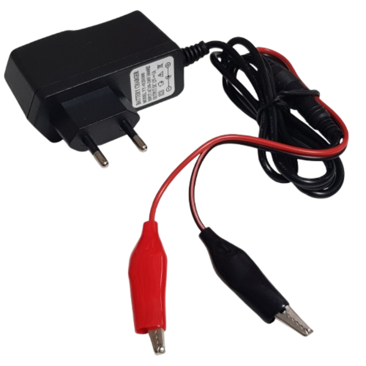 Incarcator 12V 1A, Acumulatori Plumb pentru Vehicule si jucarii cu telecomanda, Mufa aligator