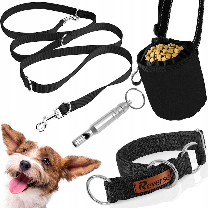Kutyakiképző készlet, hátramenet, 5 m póráz, 30-55 cm állítható nyakörv, jutalom táska, síp