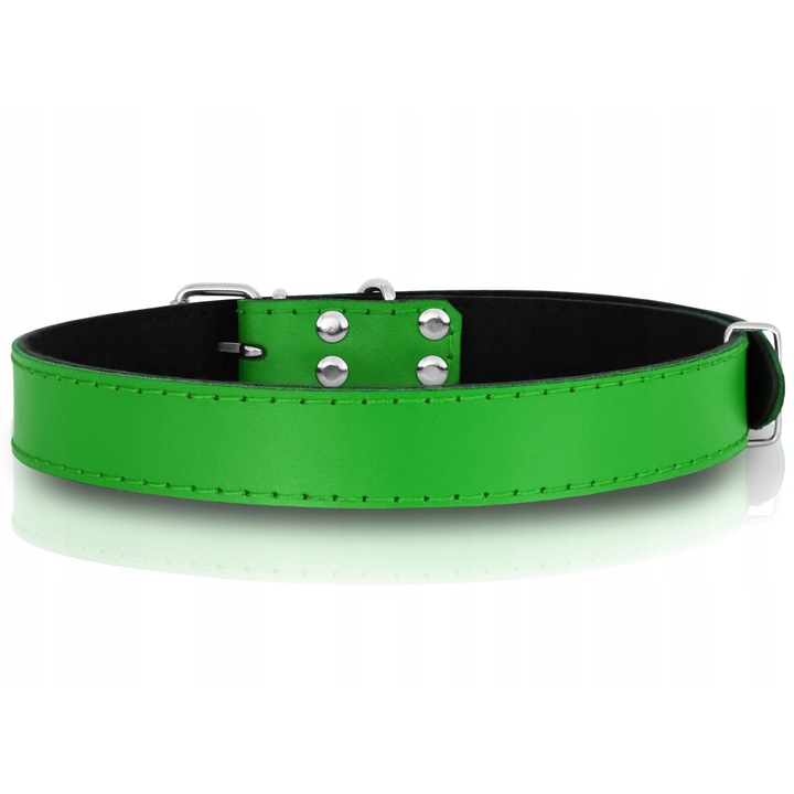 Valódi bőr kutya nyakörv, Reverse, zöld, 45-57cm, 25mm széles