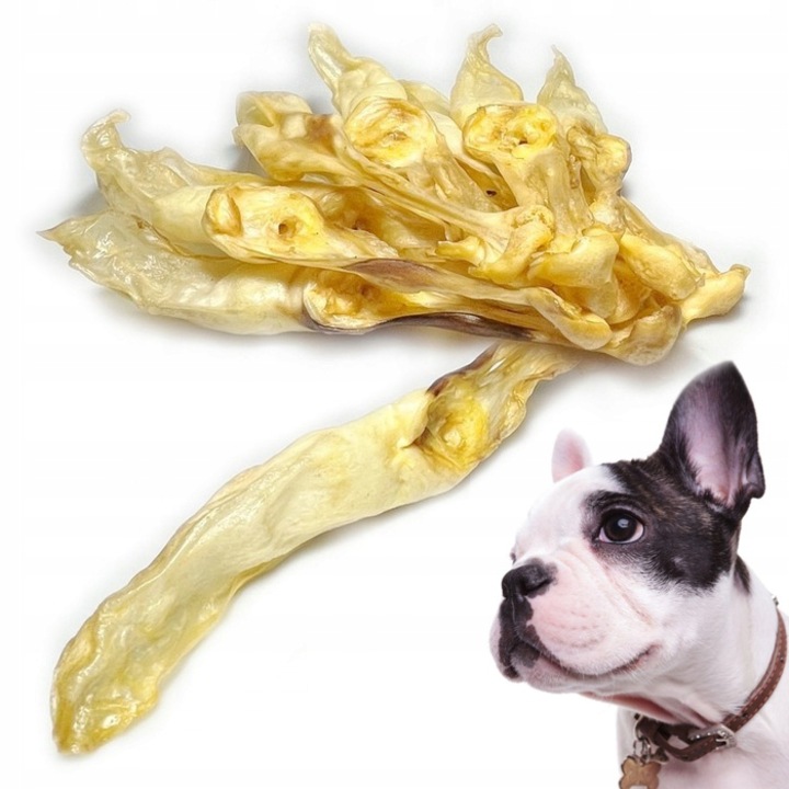 Комплект от 10 заешки уши за кучета, Balto, естествени, 12-15 см