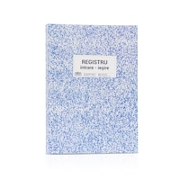 Registru intrare - iesire, A4, 100 file, hartie 70 g, coperta carton, portrait