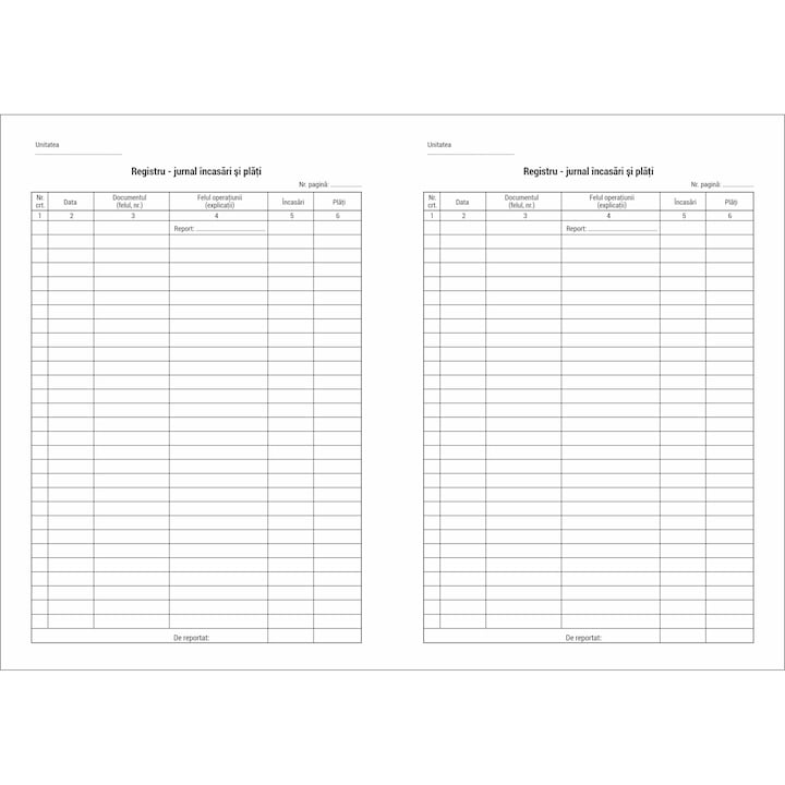 Registru jurnal incasari si plati, snuruit, A4, 100 file, hartie 70 g, coperta carton, portrait