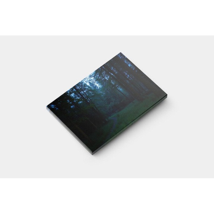 Картина на платно - Нощна разходка в гората със светещи светлини - 30x50 cm