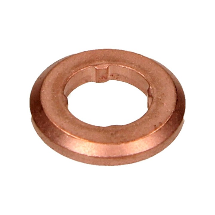 Inel injector, Bosch, Pentru AUDI A4 3.0TDI 11-