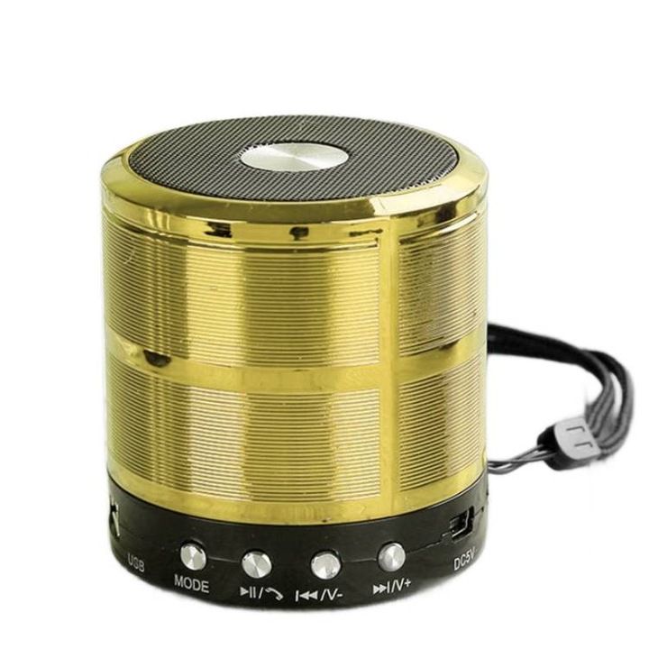 Boxa portabila Bluetooth, difuzor cu sistem de prindere apeluri hands free, radio FM, U Disk, card TF, AUX, auriu